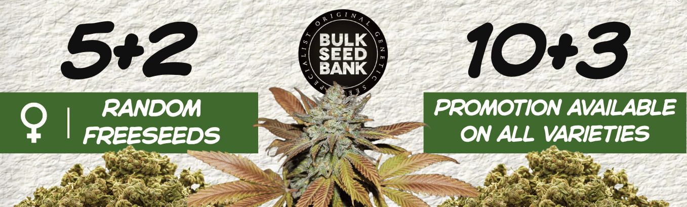 BULK SEEDS BANK FREE SEEDS PROMOTION BULK SEEDS BANK FREE SEEDS PROMOTION